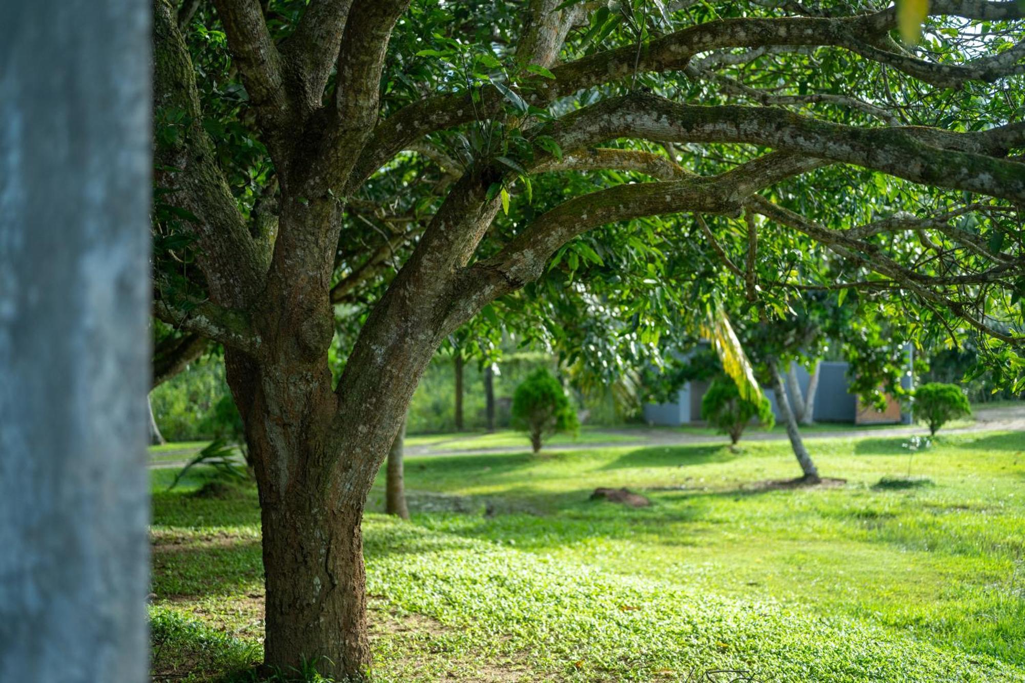 Wirdana Resort & Spa Bussa Exterior foto
